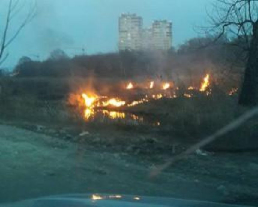 Под Киевом снова горит торф (фото)
