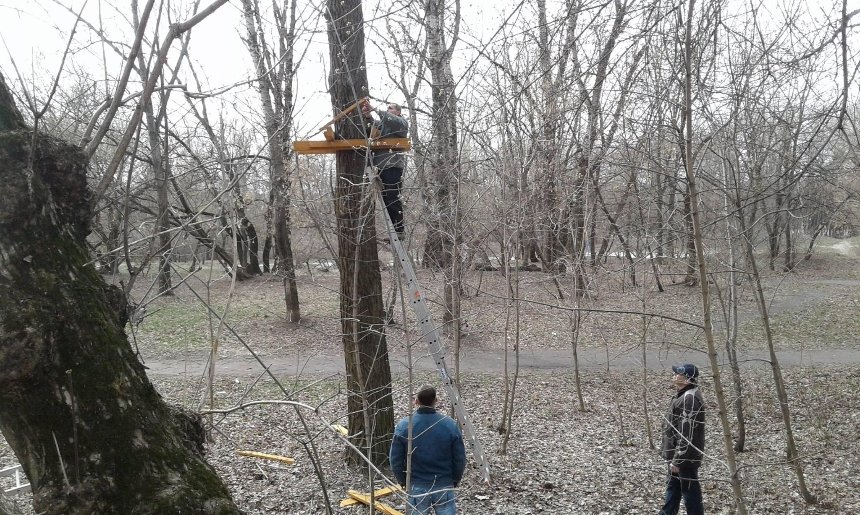 Такого нам не надо: на Русановке местные жители избавились от веревочного парка (фото)