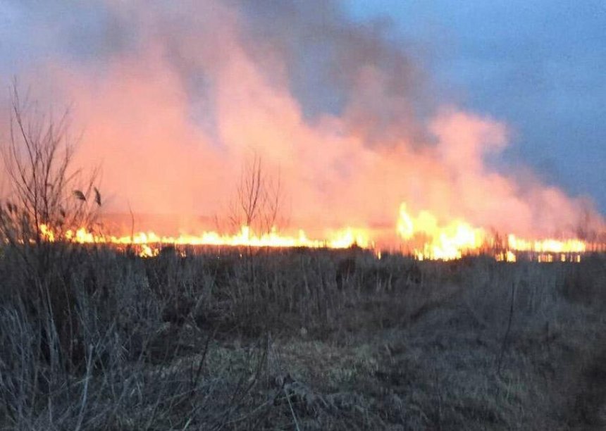 Дым отечества: в Киеве горит сухая трава и камыши
