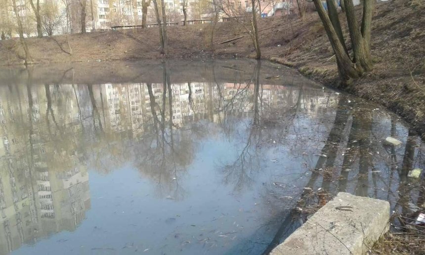 Экологическая трагедия: в киевском озере погибла рыба и животные