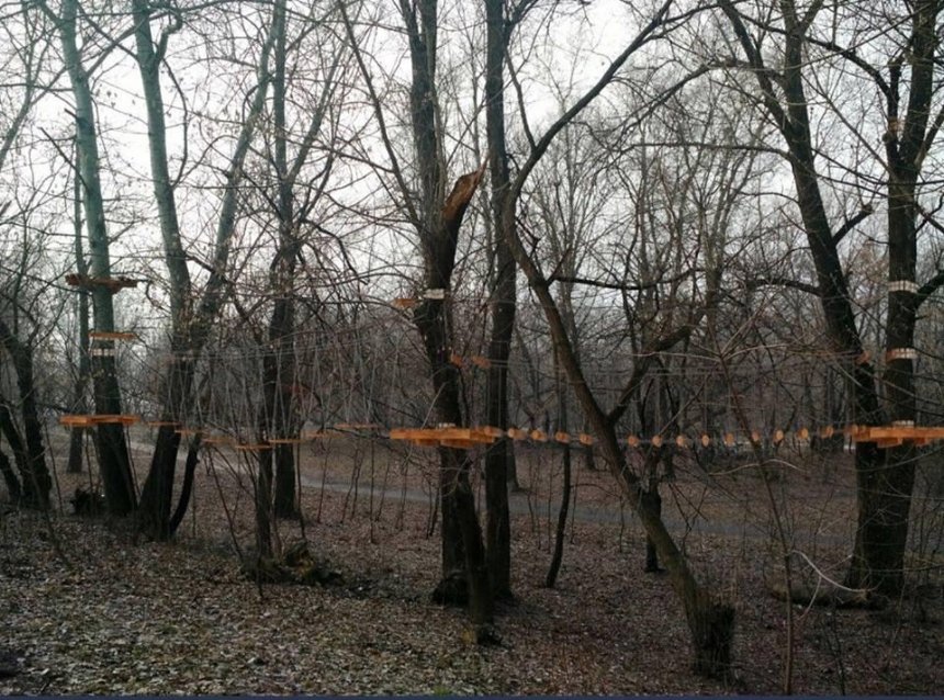 Помогите решить: депутат КГГА попросил у киевлян совета о строительстве веревочного парка на Русановке