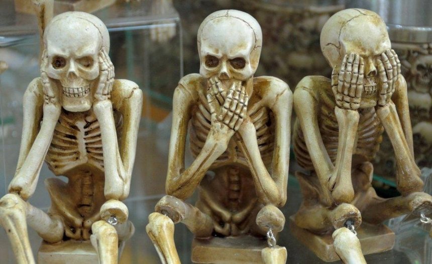 Недитячі забаганки: Палац дітей та юнацтва хоче купити скелет людини та сервіз за сім тисяч