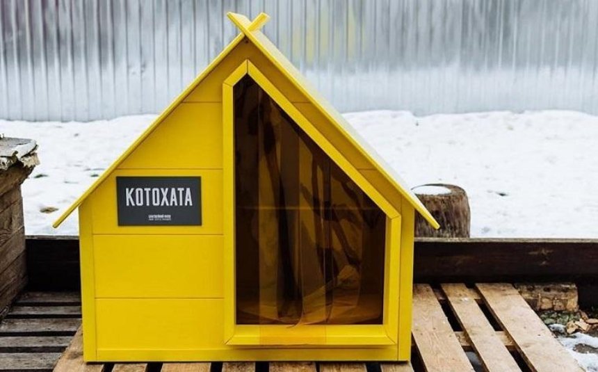 В Киеве появятся домики для бездомных котов (фото)