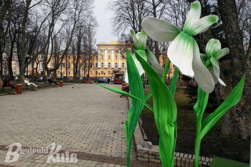 В центральном парке Киева «расцвели» гигантские подснежники