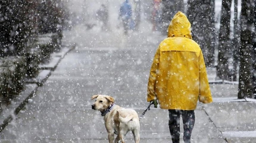 Дождь и мокрый снег: на выходных в Киев вернется зима