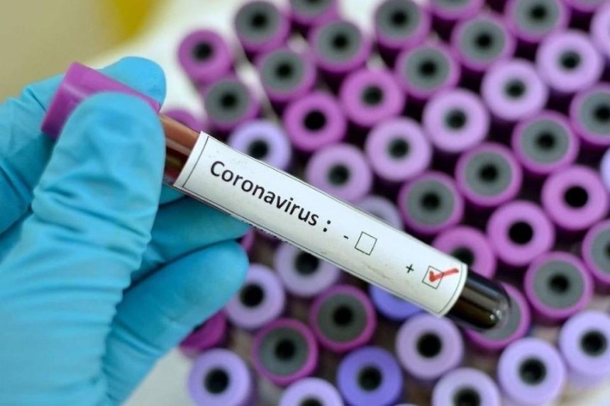 Заражение, лечение и группы риска: Кабмин создал сайт о коронавирусе