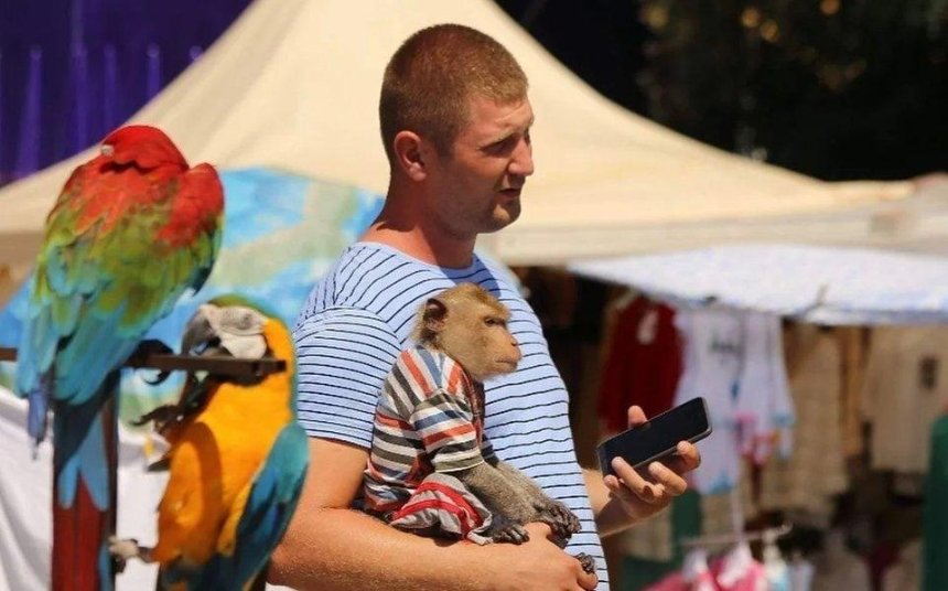 В Киевсовете хотят запретить фото с животными за деньги