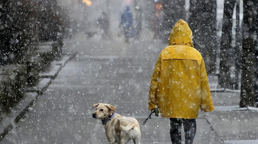 Мокрый снег и гололед: киевлян предупредили о резком изменении погоды
