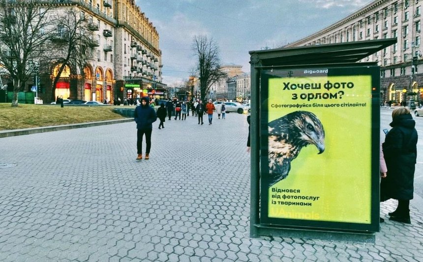 В украинских городах появились ситилайты для фото с животными: что это значит