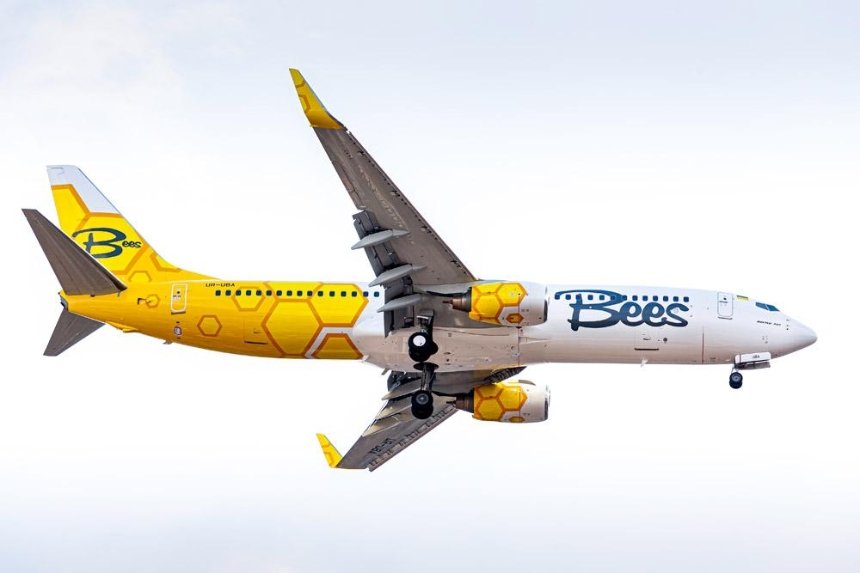 Украинский лоукостер Bees Airline будет летать по 29 маршрутам: список