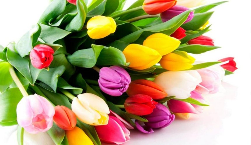 Ціна на тюльпани у Києві на 8 березня
