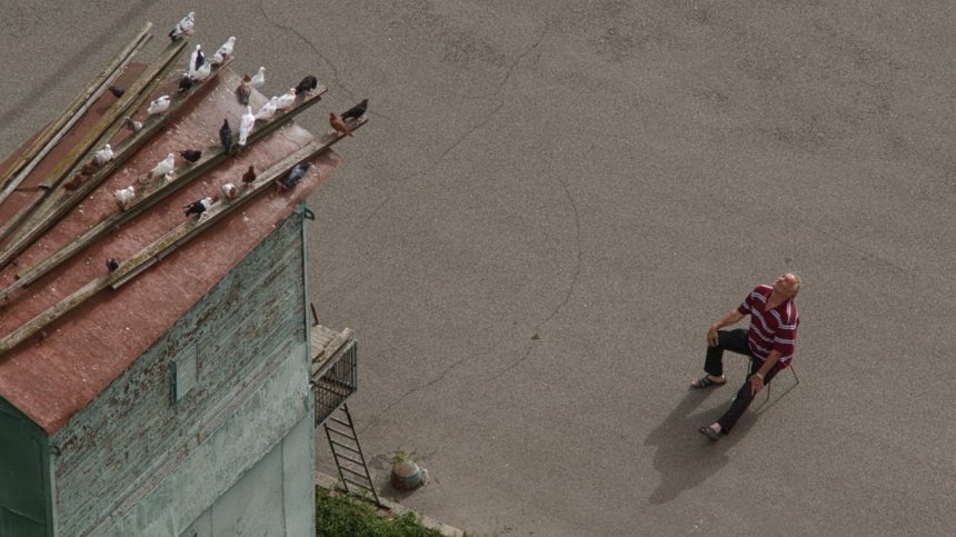Takflix випустив фільм власного виробництва про киян-пенсіонерів, які утримують маленькі голубівні