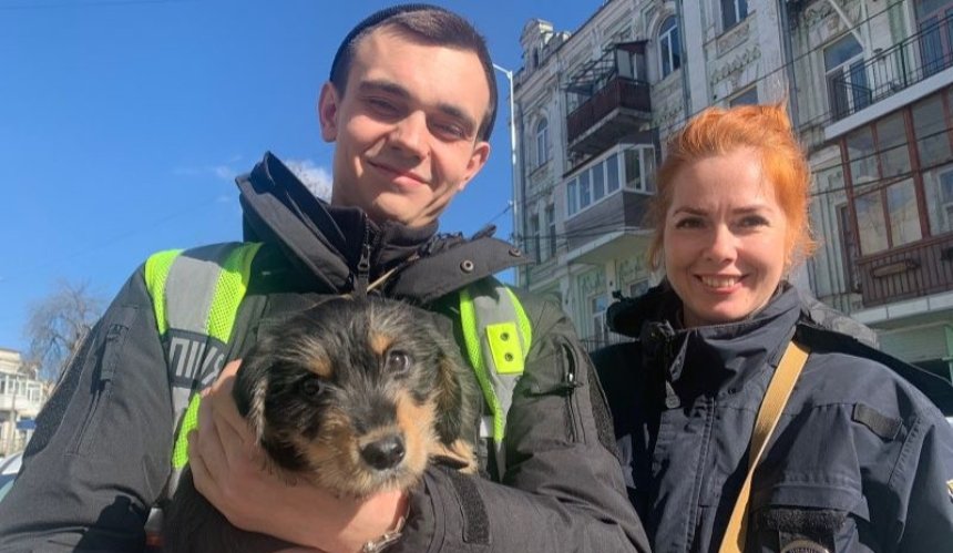 Била та поїла горілкою: у Києві поліцейські врятували цуценя