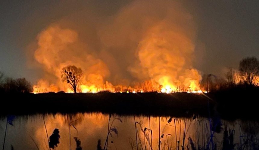 На території екопарку "Осокорки" сталась пожежа: фото та подробиці