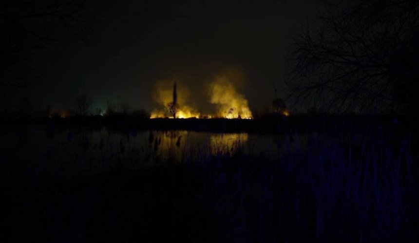 Пожежа в екопарку "Осокорки": яка відповідальність передбачена за ймовірний підпал
