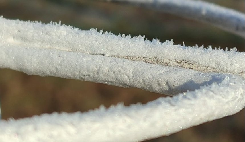 На Київщині через мороз утворилась кристалічна паморозь