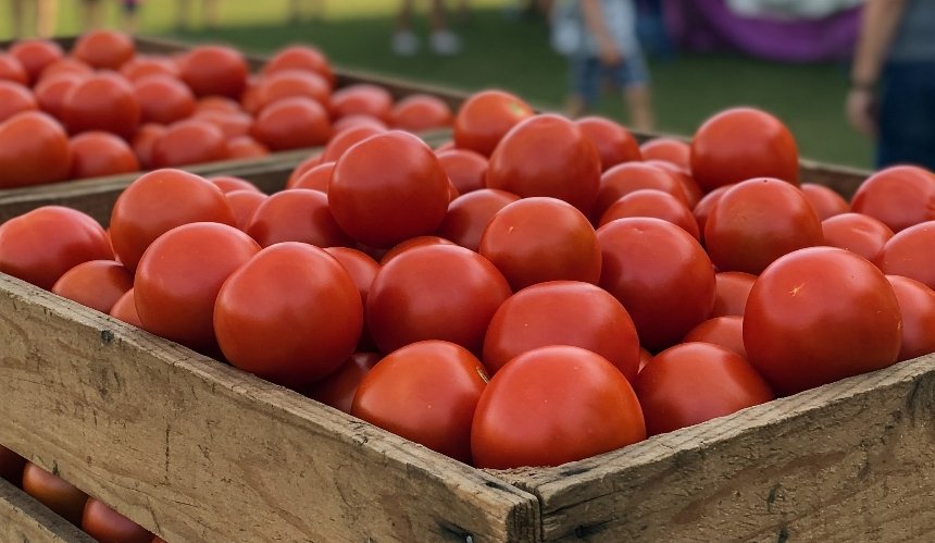 У Києві з 11 по 16 березня пройдуть продуктові ярмарки: повний список локацій