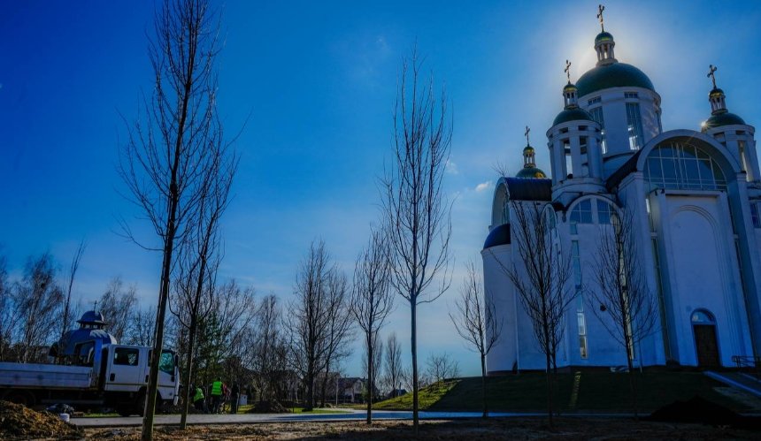 Біля церкви Святого Апостола Андрія Первозванного у Бучі висадили клени та сакури: фото