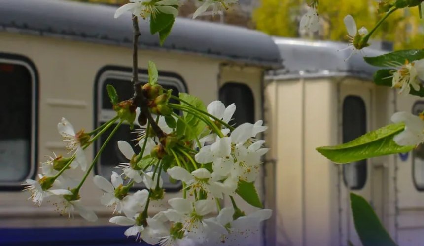 Як працюватиме Київська дитяча залізниця у березні: повний перелік рейсів