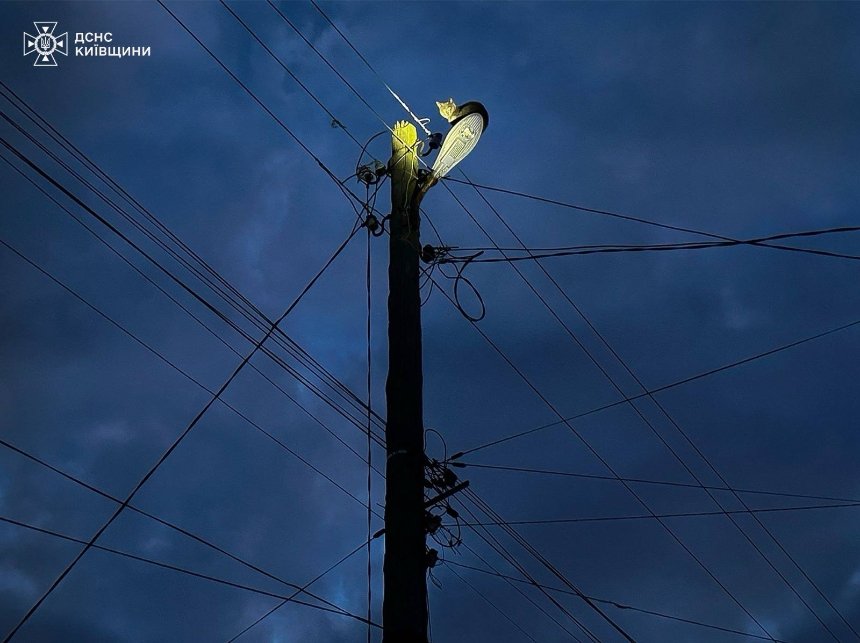 На Київщині рятувальники та електрики знімали кота зі стовпа