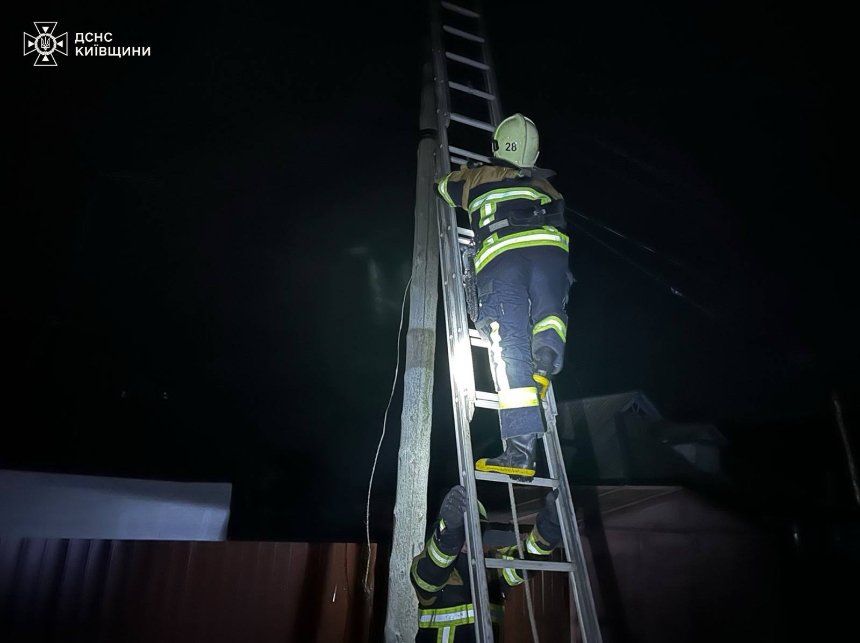 На Київщині рятувальники та електрики знімали кота зі стовпа