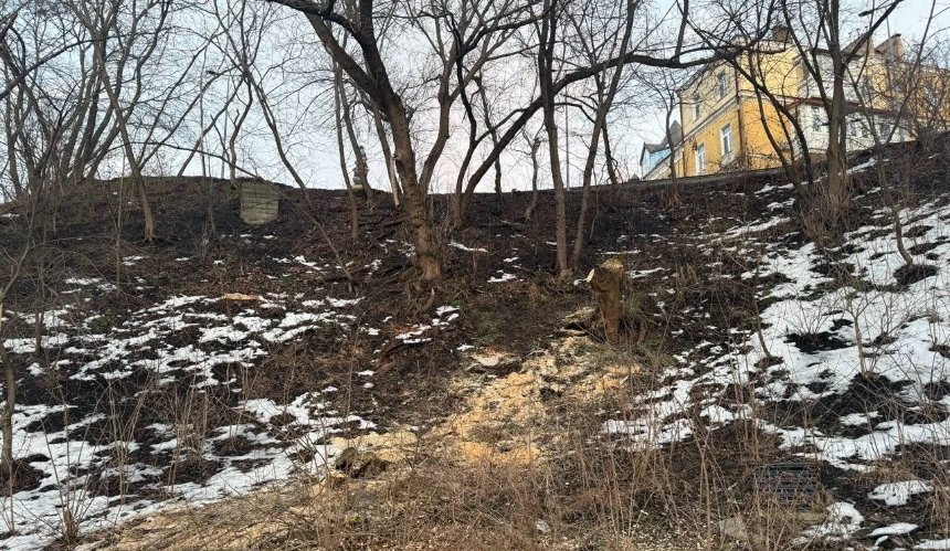На Пейзажній алеї почали вирубку дерев та демонтаж гаражів: що відомо