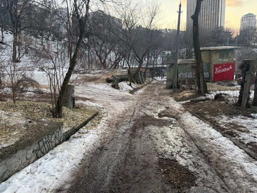 На Пейзажній алеї почали вирубку дерев та демонтаж гаражів