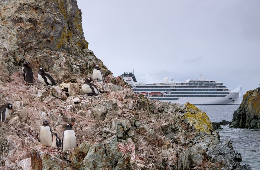 Номінація "Загальна категорія"