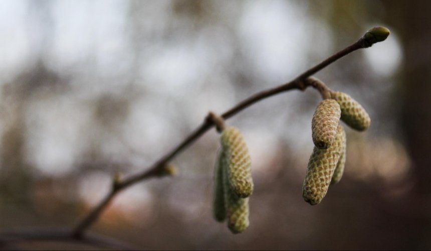 Тепло і сонячно: якою буде погода у Києві на вихідних