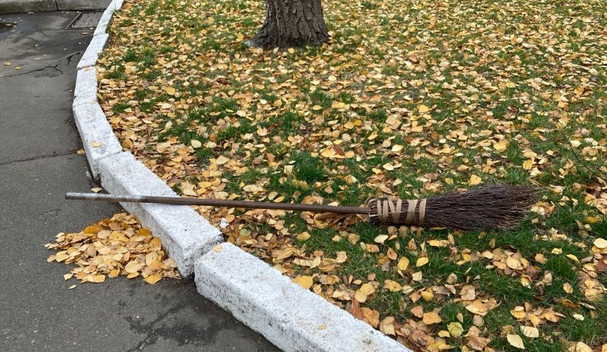 Весняна толока у Києві: де та коли прибиратимуть парки та береги водойм