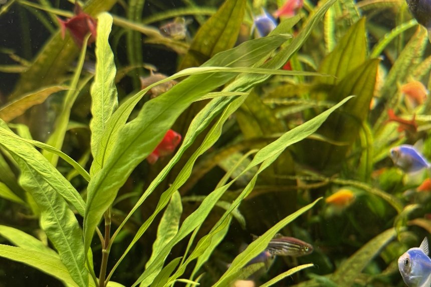 Будинок природи у Києві перейшов в онлайн-формат через аварію