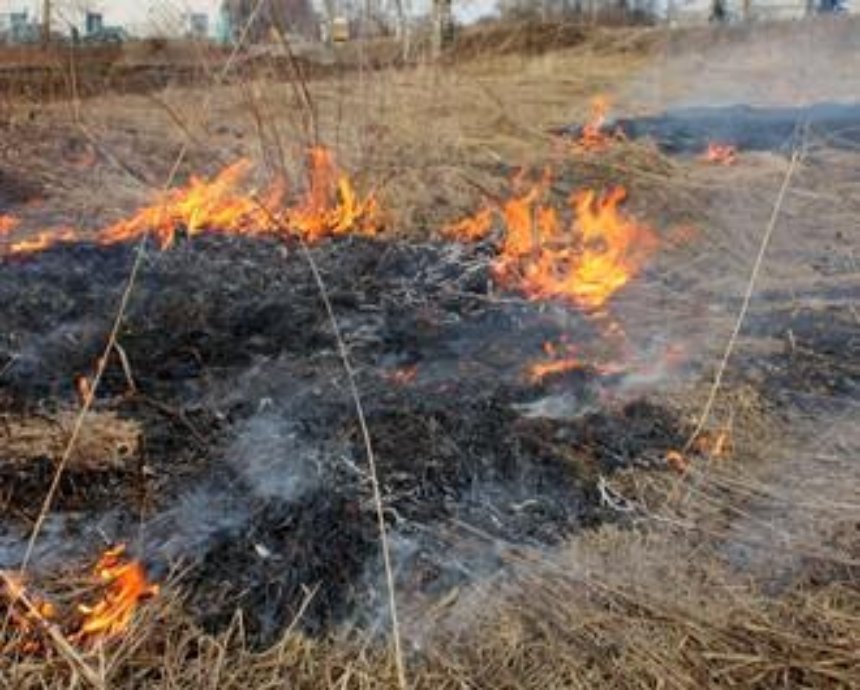 В Киеве массово горит сухая трава