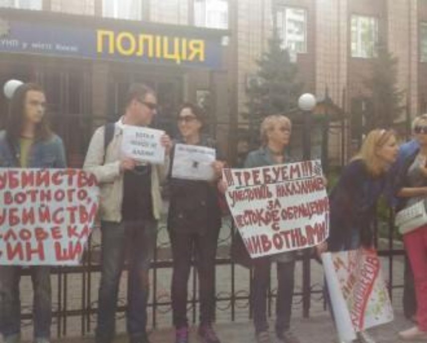 Зоозащитники атаковали Голосеевский районный отдел полиции