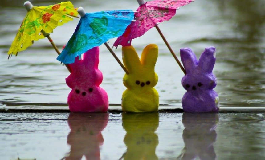 Пасха под зонтом: столицу накроют затяжные дожди