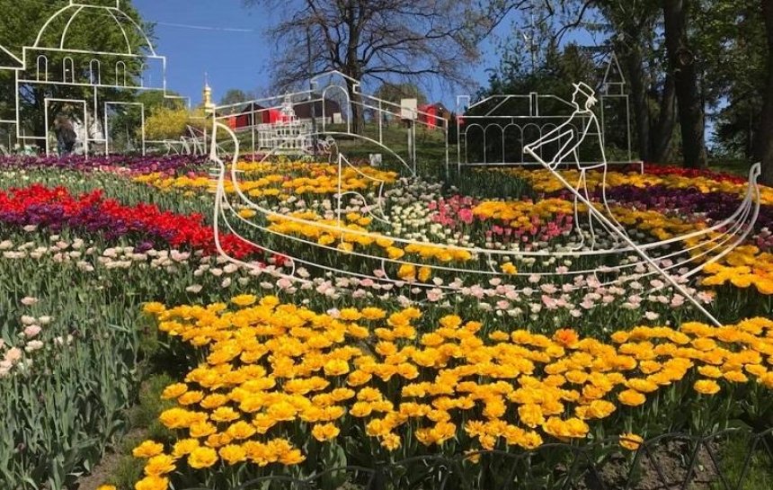На Певческом поле открылась большая выставка тюльпанов (фото)