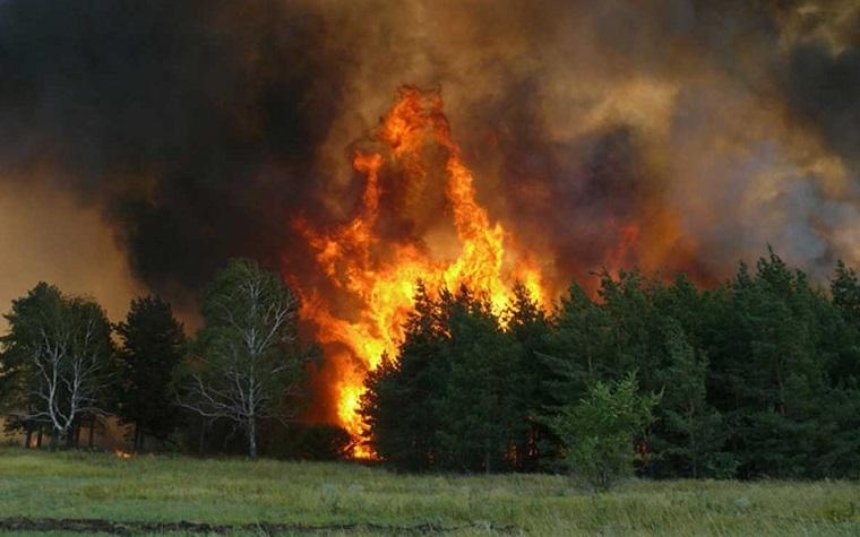 Киевлян предупредили о высоком уровне пожарной опасности