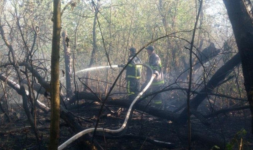 Пожар на Трухановом острове ликвидировали за семь часов (фото)