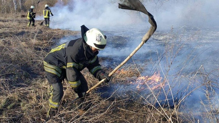 112 выездов пожарных за сутки: в Киеве горят леса и зеленые зоны