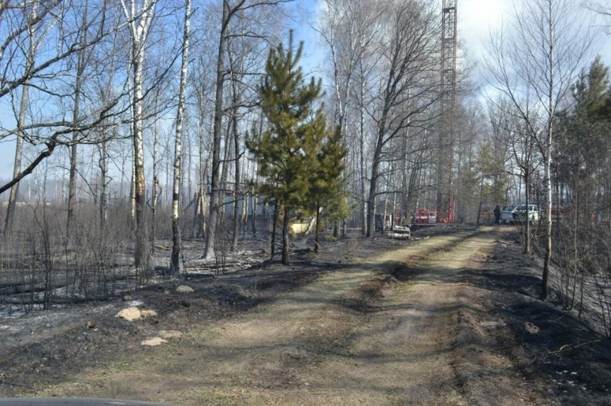 Угрозы для ЧАЭС нет: пожар в Чернобыльской зоне почти потушили