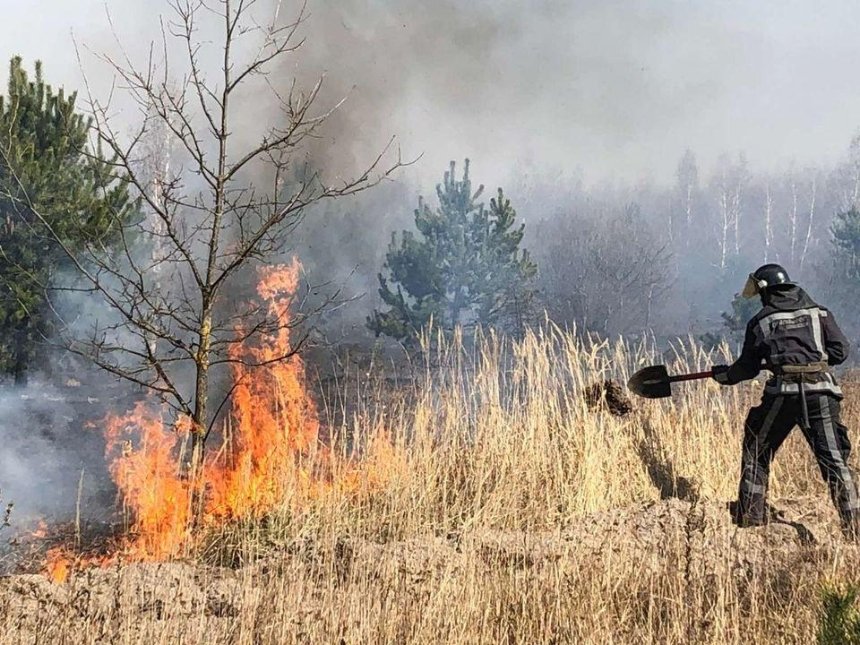 Под Киевом произошел новый пожар: полиция поймала поджигателя