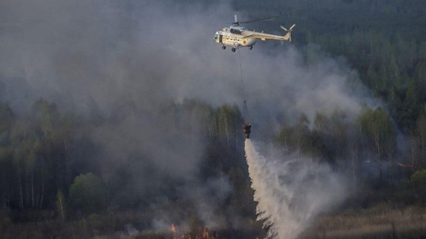 В Чернобыльской зоне вспыхнул масштабный лесной пожар