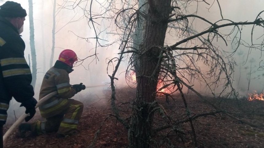 В Чернобыльской зоне продолжают тушить масштабный лесной пожар