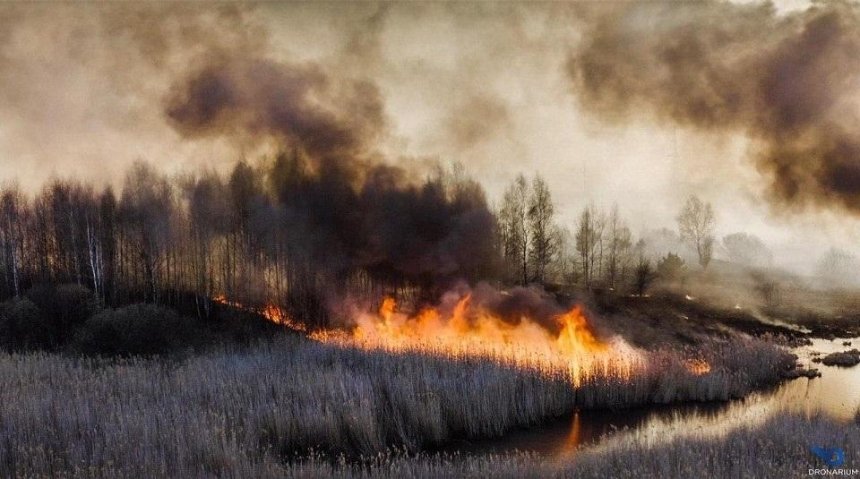 Очевидец пожаров в Чернобыльской зоне: «Информация официальных источников отличалась от реальной ситуации»