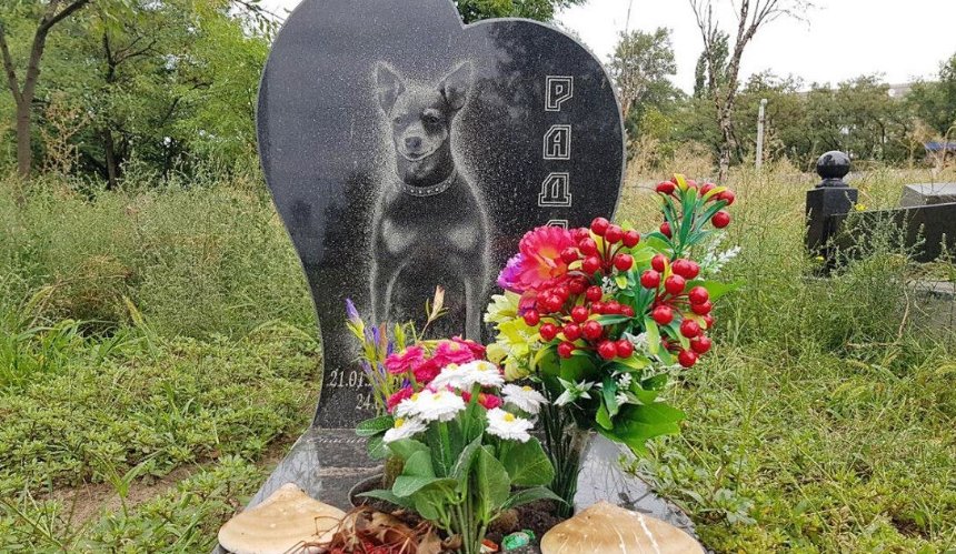 От жителей Лесного требуют убрать кладбище домашних животных