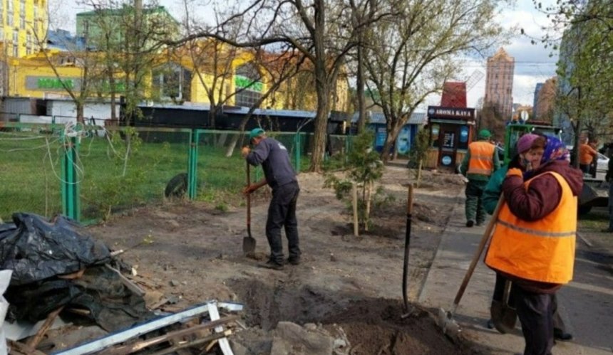 В Днепровском районе на месте снесенных МАФов высадили деревья