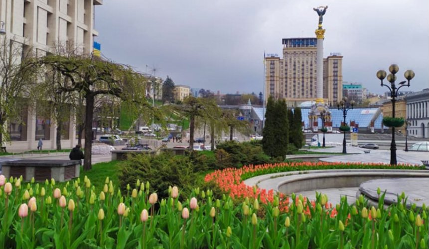 У центрі Києва розквітли 100 тисяч тюльпанів: фото