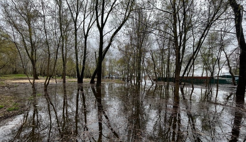 На Оболоні через паводок перенесли висадження нових дерев замість зрубаних 