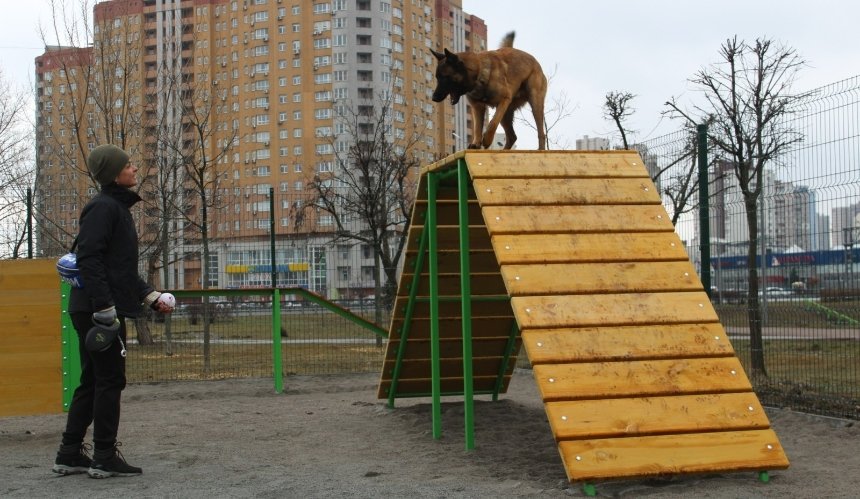 Кияни просять створити більше майданчиків для вигулу собак — петиція на сайті Київміськради.
