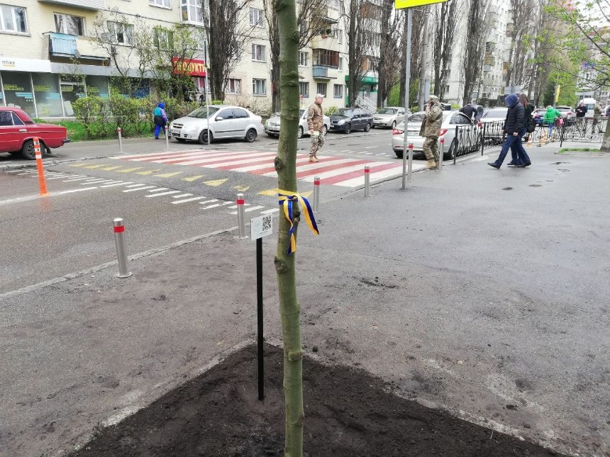 У Києві висадили дерева з QR-кодами для допомоги військовим
