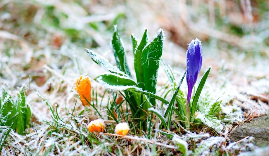 На вихідних, 29 та 30 квітня у Києві очікується похолодання та нічні заморозки на поверхні ґрунту.